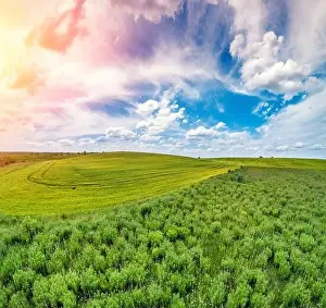 Summer rural landscape. Aerial view. View of a wheat field and grassland with beautiful cloudy sky