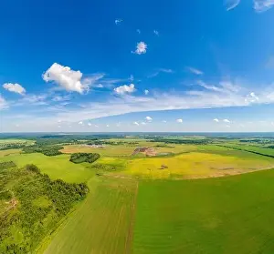 Plowed Prints: Summer rural landscape. Aerial view. View of wheat fields with beautiful sky