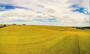 Summer rural landscape, aerial view. View of wheat fields with beautiful sky