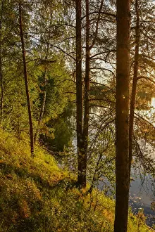 Sand Beach Prints: Summer sunset on the Bank of the quarry