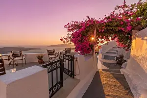 Summer sunset vacation scenic of luxury famous Europe destination. White architecture in Santorini, Greece. Stunning travel scenery with pink flowers