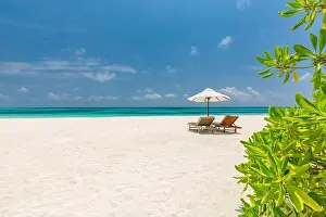Summer travel destination. Summer vacation holiday concept for couple. Perfect tranquil beach scene, palm trees close to blue sea. Amazing beach