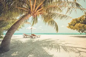 Summer travel destination. Summer vacation holiday concept for couple. Perfect tranquil beach scene, palm trees close to blue sea. Amazing beach