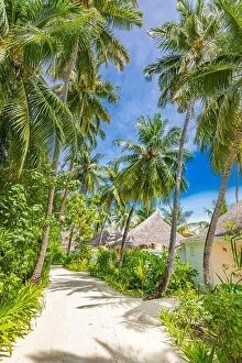 October Collection: Summer vacation holiday island, vertical view of pathway with palm trees and beach villas bungalows