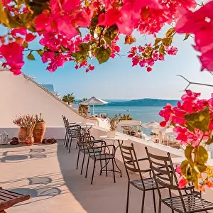 Summer vacation for travel destination flowers background. Wonderful scenery background, perfect holiday. Scenic view of traditional cycladic houses