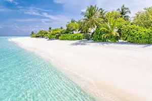 Green House Prints: Summer vacation on a tropical island with beautiful beach and palm trees