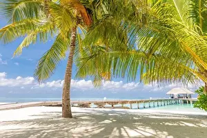 Summer vacation on a tropical island with beautiful beach and palm trees. Luxury travel background, exotic beach landscape, sunny weather, tropics