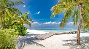 Summer vacation on a tropical island with beautiful beach and palm trees. Luxury travel background, exotic beach landscape, sunny weather, tropics