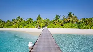 Summer vacation on a tropical island with beautiful beach and palm trees. Luxury vacation summer holiday banner