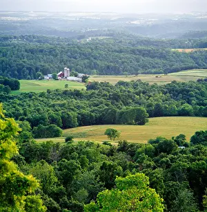 Square Image Prints: SUMMER VIEW WEST OF FARMS & FOREST FROM RT