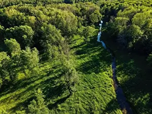 Natural Color Prints: A summertine scene in the wilderness with a small stream flowing through the woods