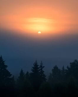 Images Dated 17th September 2017: Sun is rising behind fog in Torronsuo national park, Finland