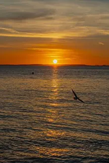 The sun setting over the Welsh coast with a streak of Sunlight going across the sea