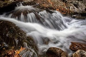 Forest Collection: Sunburst Falls or Pigeon River Cascades off of Highway 215 - Pisgah National Forest, near Brevard