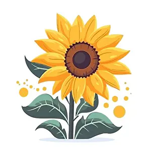 Floral Design Prints: Sunflower flower. Sunflower flower image isolated