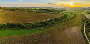 Drone Landscape Prints: Sunflowers fields. Aerial view of the yellow flowers on summer