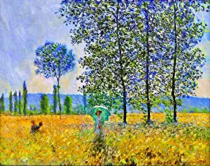 Water Lilies Prints: Sunlight effect under the poplars
