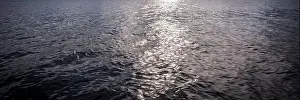 Rising Prints: Sunlight reflection of riverside