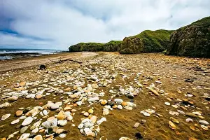 Sunny Cliffs and beach at Blackhall Rocks and Cromdon Dene Beach