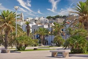 Images Dated 13th July 2017: Sunny day in Mattinata, Puglia, Italy. Palm trees and white buildings in bright sunny day