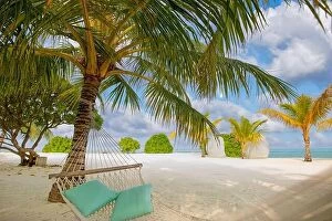 Images Dated 13th December 2018: Sunny island beach with palm trees and traditional braided hammock with pillows
