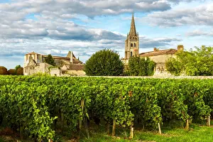Saint Emilion Prints: Sunny landscape of bordeaux vineyards in Saint Emilion in Aquitaine region
