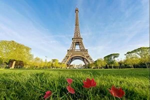 Images Dated 6th May 2016: Sunny morning and Eiffel Tower, Paris, France