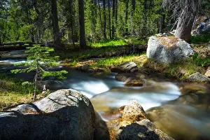 Boulders Prints: Sunny, smooth flowing Tenaya Creek, in the forest near Tioga Pass - Yosemite National Park