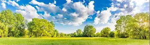 Sunny spring summer landscape, green forest trees, meadow flowers field panoramic vibrant rural nature with cloudy blue sky. Idyllic nature scenic