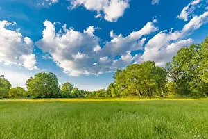 Sunny spring summer landscape, green forest trees, meadow flowers field panoramic vibrant rural nature with cloudy blue sky. Idyllic nature scenic