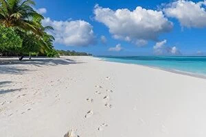 Images Dated 3rd February 2022: Sunny tropical beach with foot steps in white sand and palm trees on Maldives