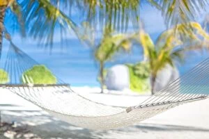 Images Dated 6th May 2018: Sunny tropical beach with palm trees and traditional braided hammock. Tropical island paradise