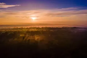 Foggy Landscape Prints: Sunrise shining golden rays through the early morning fog softly blanketing a prehistoric landscape
