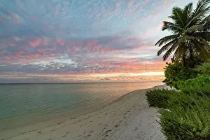 Sunset Beach Prints: Sunset landscape, tropical nature foliage with sunset sky