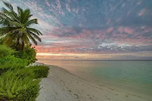 Sunset landscape, tropical nature foliage with sunset sky. Tranquil sea view with copy space for text, soft pastel colors