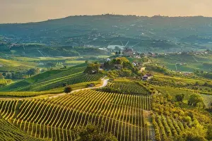 Vines Prints: Sunset panorama of the Langhe in Piedmont