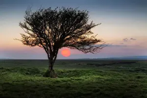 Swansea Prints: Sunset at Penclawdd estuary