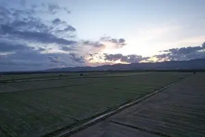 Rice Field Prints: Sunset Over Rice Fields in the Paraiba Valley, Brazil