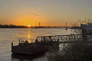 River Bank Prints: Sunset over the river Rhine Lower Rhine