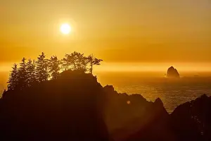 Environmental Conservation Prints: Sunset Silhouette of Pine Trees and Arch Rock Overlooking Ocean from High Cliff