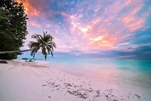Images Dated 23rd April 2016: Sunset and tropical beach, palm tree near the sea, colorful twilight sky