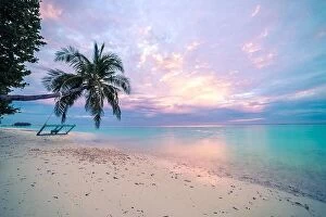 Images Dated 23rd April 2016: Sunset and tropical beach, palm tree near the sea, colorful twilight sky