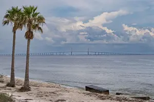 Bird Life Prints: The Sunshine Skyway Bridge over Tampa Bay with beach and palm trees in the foreground