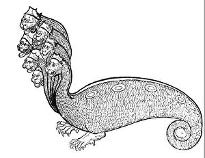Headed Prints: superstition, mythical creatures