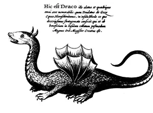 Creatures Prints: superstition, mythical creatures