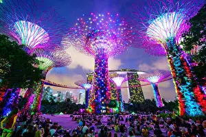 Marina Bay Prints: Supertree Grove in the Gardens by the Bay