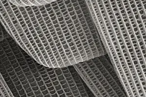 Waffle Prints: Surface Details Unidentified Insect's Wing