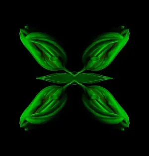 Low Key Prints: Surrealistic symmetrical geometrical low key neon colored pattern made with a macro of an isolated yellow green closed