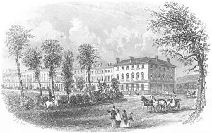 Eastbourne Prints: SUSSEX. Cornfield terrace, Eastbourne. Rock 1860 old antique print picture