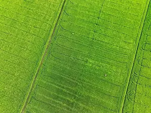 Fertile Prints: Sustainable agriculture. Aerial view of green rice farm